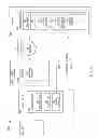 Fig. 19 - System and method for secure remote access to a service on a server computer