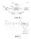 Fig. 06 - PROVIDING GUEST USERS NETWORK ACCESS BASED ON INFORMATION READ FROM A CREDIT CARD OR OTHER OBJECT