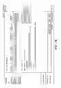 Fig. 07 - DIGITAL RIGHTS MANAGEMENT THROUGH VIRTUAL CONTAINER PARTITIONING