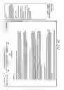 Fig. 71 - DIGITAL RIGHTS MANAGEMENT THROUGH VIRTUAL CONTAINER PARTITIONING