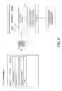 Fig. 83 - DIGITAL RIGHTS MANAGEMENT THROUGH VIRTUAL CONTAINER PARTITIONING
