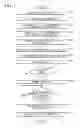 Fig. 08 - Deleting information to maintain security level