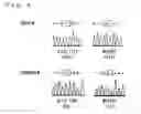 Fig. 07 - Method for assessment of potential for development of dravet syndrome and use thereof
