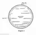 Fig. 02 - Methods for producing glyphosate tolerant plants comprising corn event PV-ZMGT32(nk603)