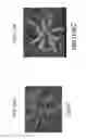 Fig. 28 - Methods for the identification of genes involved in abiotic stress tolerance in plants