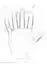 Fig. 04 - ATHLETIC GRIP ENHANCING FINGER GLOVES