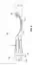 Fig. 04 - ORAL UTENSIL