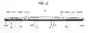 Fig. 33 - Wiper blade