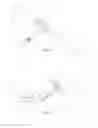 Fig. 03 - Tool cinch with stabilizing wings