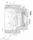 Fig. 07 - Biological fluid collection device and biological fluid separation and testing system