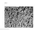 Fig. 02 - Method for in-situ manufacture of a lightweight fly ash based aggregate