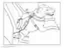 Fig. 01 - Vehicular dog restraint