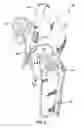 Fig. 06 - One-belt harness