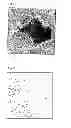 Fig. 02 - METHOD FOR EXFOLIATING COATING LAYER OF ELECTRODE FOR ELECTROLYSIS