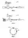 Fig. 03 - Reinforced Liners for Pipelines