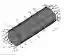 Fig. 01 - Wrappable textile sleeve with extendable electro-functional yarn leads and method of construction thereof