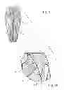 Fig. 02 - Method for ornamentally decorating an inanimate object
