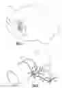 Fig. 02 - Clamp for an elongated member
