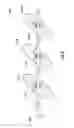 Fig. 09 - Modeling of interaction of hydraulic fractures in complex fracture networks