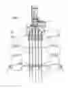 Fig. 02 - Riser tensioner conductor for dry-tree semisubmersible