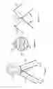 Fig. 04 - FOLDING ACCESSORY CABLE FOR PORTABLE ELECTRONIC DEVICES