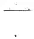 Fig. 02 - Compact rigid-flexible printed circuit board and method for manufacturing same