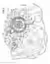 Fig. 02 - Transmission