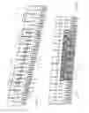 Fig. 02 - Transport member for transporting strip-like elements to be treated in a bath