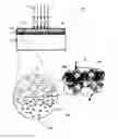 Fig. 01 - ADDITIVE METALLISATION PROCESS