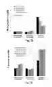 Fig. 09 - Container with low particulate emission and friction controlled dry sliding surface and methods for producing same