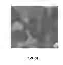 Fig. 49 - Ion sources, systems and methods