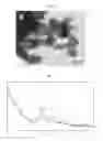Fig. 07 - Fluoro material which may be used as an electrode active material