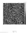 Fig. 07 - Thin film transistor and method for making the same