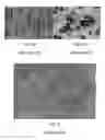 Fig. 02 - Successive ionic layer adsorption and reaction process for depositing epitaxial ZnO on III-nitride-based light emitting diode and light emitting diode including epitaxial ZnO