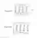 Fig. 13 - SEMICONDUCTOR DEVICE INCLUDING COPPER WIRING AND VIA WIRING HAVING LENGTH LONGER THAN WIDTH THEREOF AND METHOD OF MANUFACTURING THE SAME