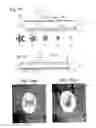 Fig. 08 - Security devices and methods of manufacture thereof