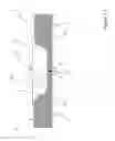Fig. 13 - Pipeline unit