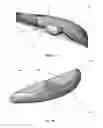 Fig. 05 - Deflector for increasing fuel efficiency of a vehicle