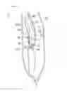 Fig. 07 - Wiring harness wiring structure