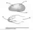 Fig. 01 - Computer Pointing Device based on Hand/Foot Directional Pressure