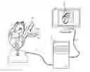 Fig. 01 - Interacting with a three-dimensional object dataset