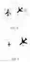 Fig. 06 - Stereoscopic 3-D presentation for air traffic control digital radar displays