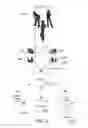 Fig. 03 - USE MOTION PARALLAX TO CREATE 3D PERCEPTION FROM 2D IMAGES