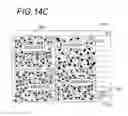 Fig. 20 - IMAGE PROCESSING APPARATUS, IMAGE PROCESSING SYSTEM AND IMAGE PROCESSING METHOD