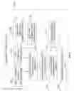 Fig. 03 - Virtual chroma keying in real time