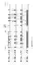 Fig. 22 - Light emitting period setting method, driving method for display panel, driving method for backlight, light emitting period setting apparatus, semiconductor device, display panel and electronic apparatus