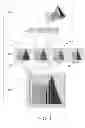Fig. 02 - STEREOSCOPIC PRINT