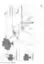 Fig. 27 - Stereoscopic panoramas