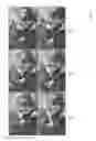 Fig. 34 - Stereoscopic panoramas