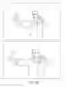 Fig. 37 - Stereoscopic panoramas